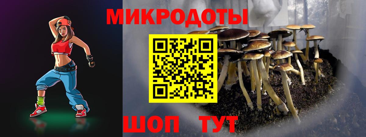 Псилоцибиновые грибы мухоморы  Псилоцибиновые грибы мицелий  Вход с VPN  Кемерово 
